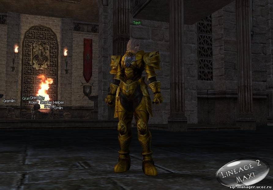 Gold Armor